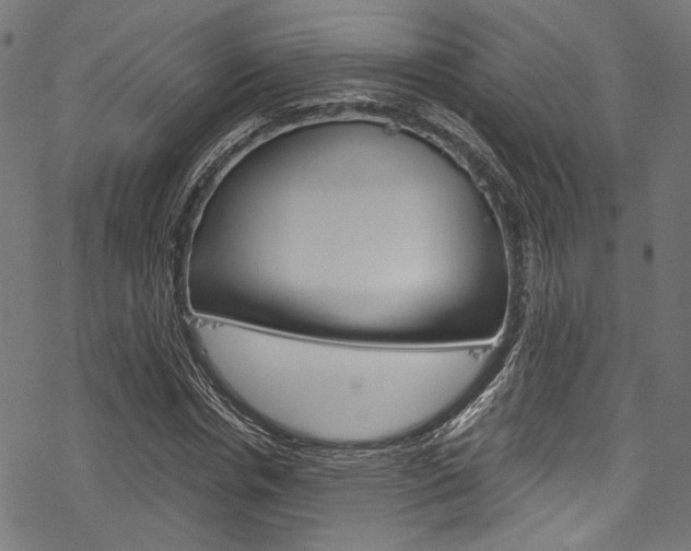 X0000078260826200611030917