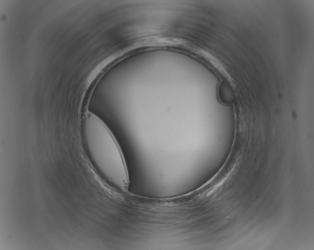 X0000078260837200611030917