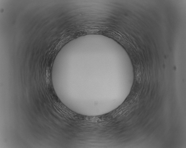 X0000078260866200611030917