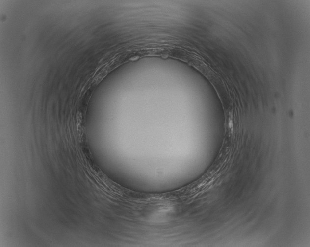 X0000078260867200611030917