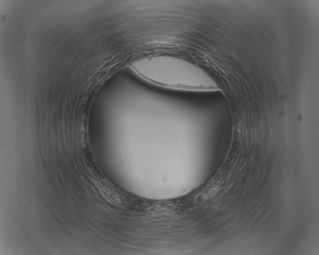 X0000078260868200611030917