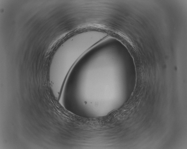 X0000078260872200611030917