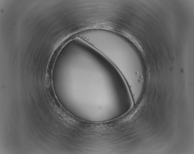 X0000078260876200611030917