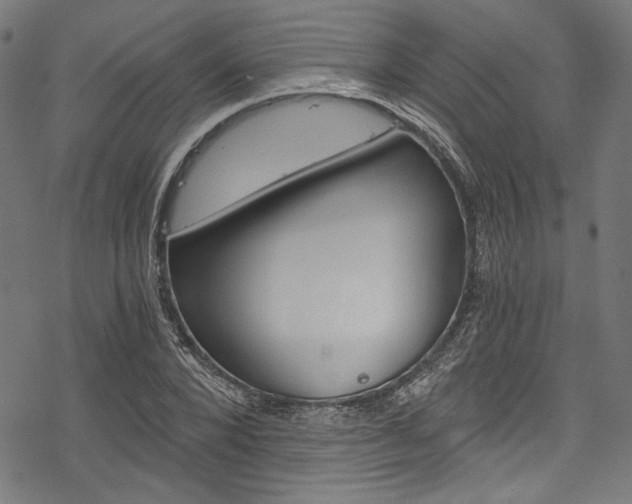 X0000078260880200611030917