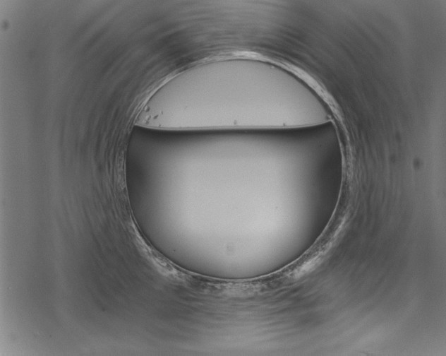 X0000078260905200611030916