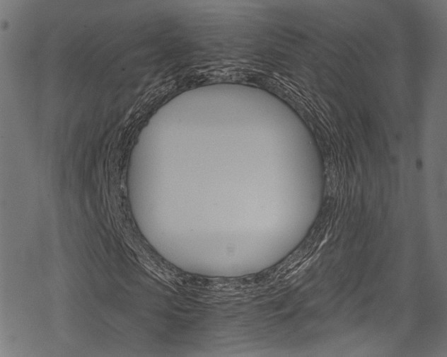 X0000078260913200611030916