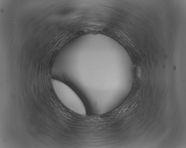 X0000078260915200611030916