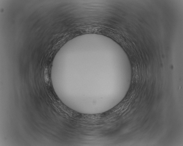 X0000078260962200611030915