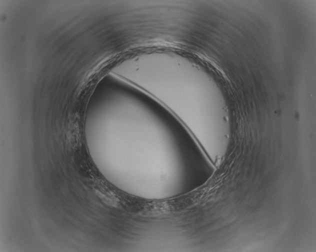 X0000078260968200611030915
