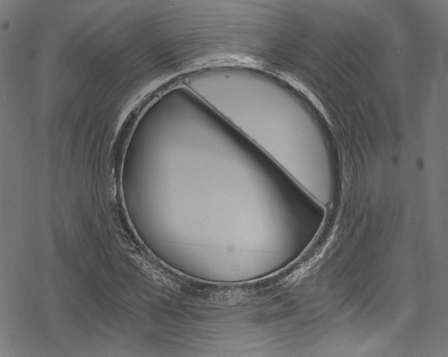 X0000078260973200611030915