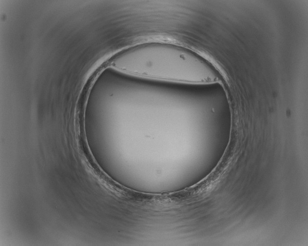 X0000078260983200611030915