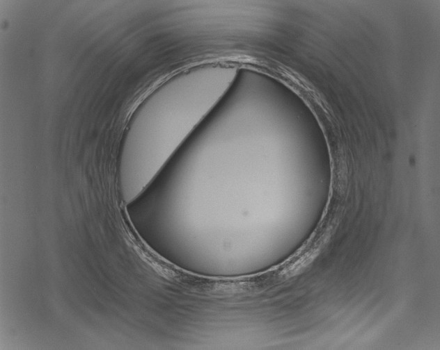 X0000078260985200611030915