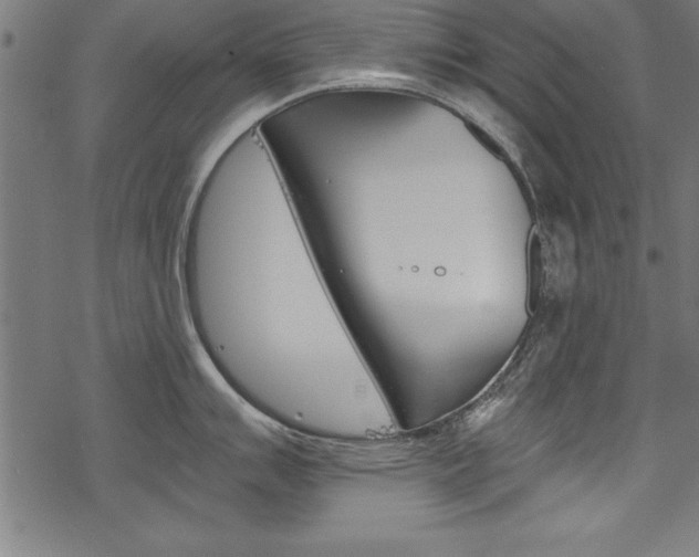 X0000078261007200611030915