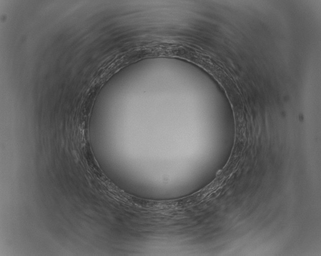 X0000078261013200611030914