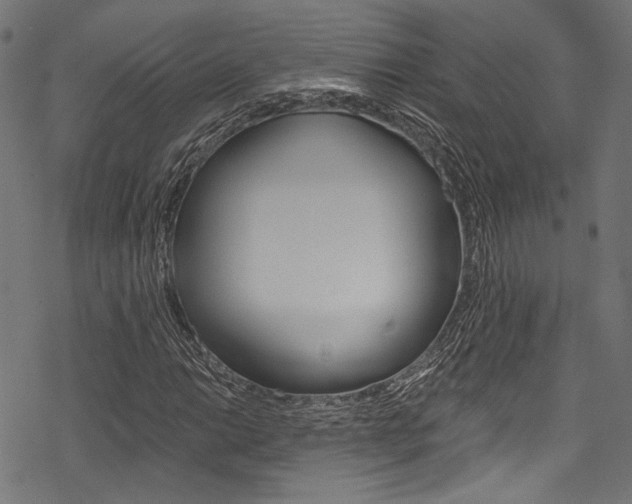 X0000078261014200611030914