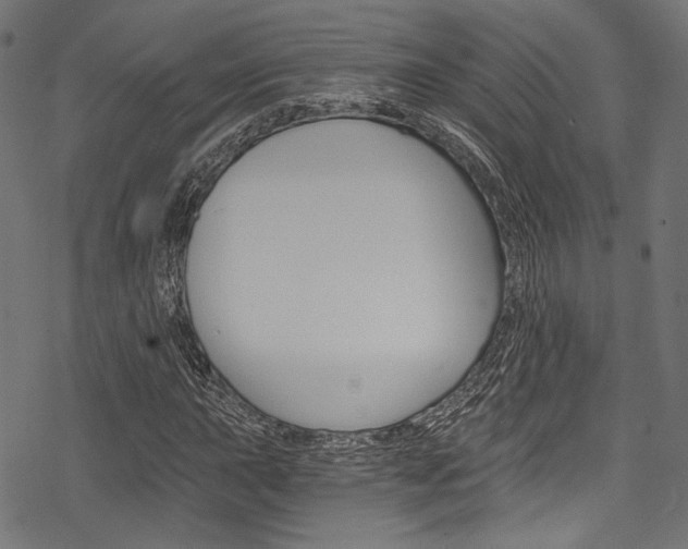 X0000078261015200611030914