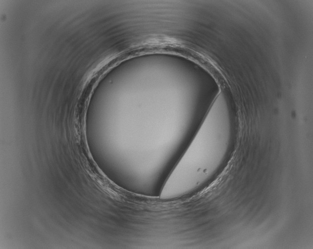 X0000078261018200611030914