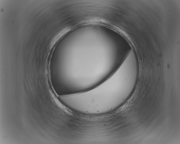 X0000078261042200611030915