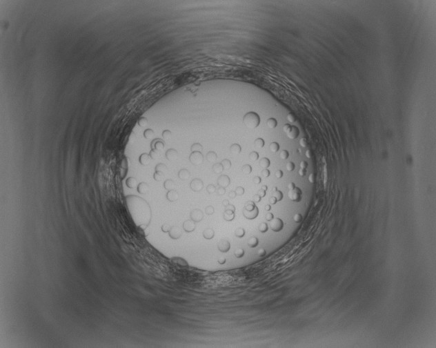 X0000078261059200611030914