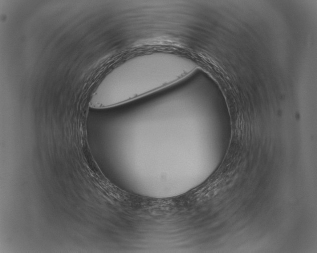 X0000078261062200611030914