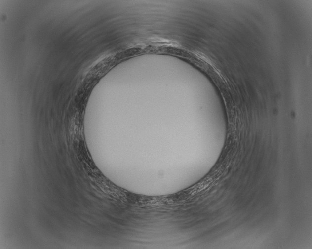 X0000078261063200611030914