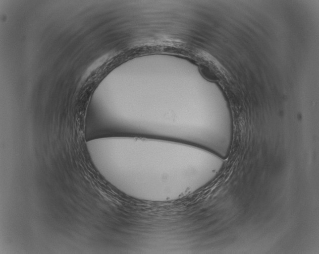 X0000078261064200611030914