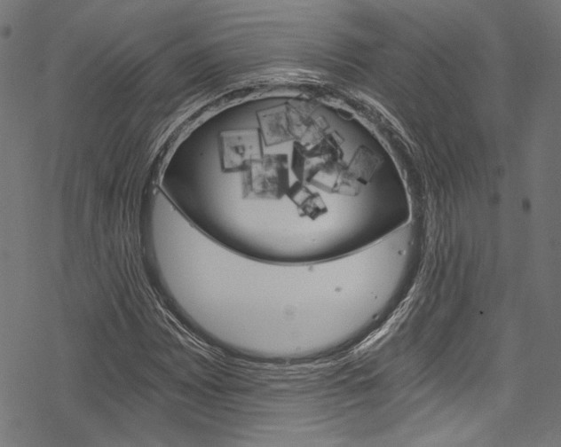 X0000078261065200611030914