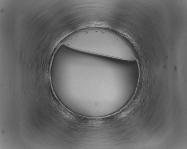 X0000078261073200611030914