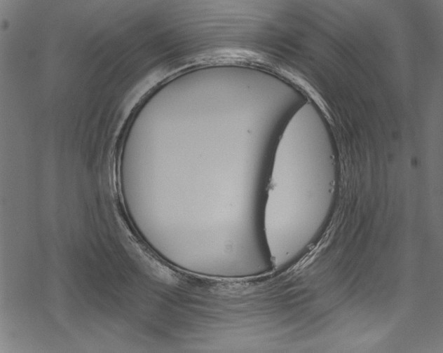 X0000078261083200611030914