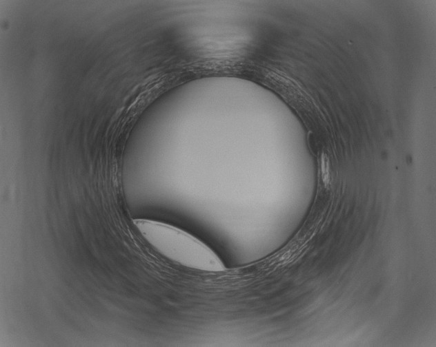 X0000078261107200611030912