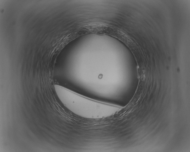 X0000078261108200611030912