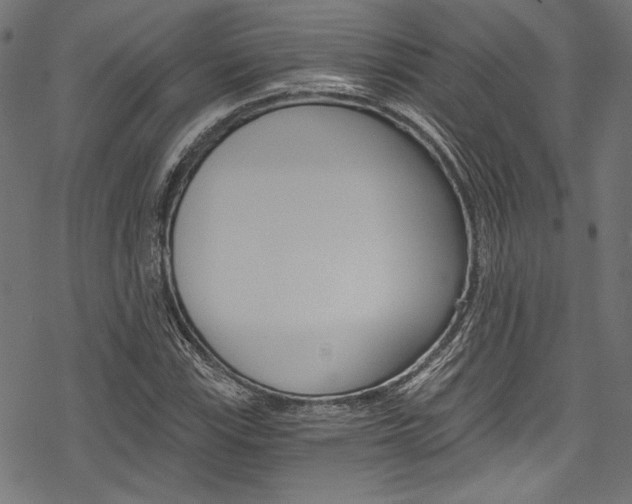X0000078261115200611030913