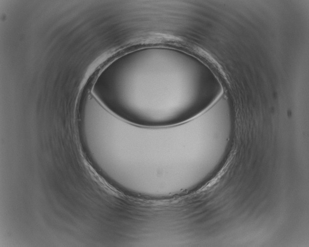 X0000078261122200611030913