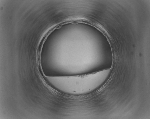 X0000078261124200611030913