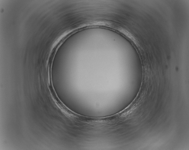 X0000078261127200611030913