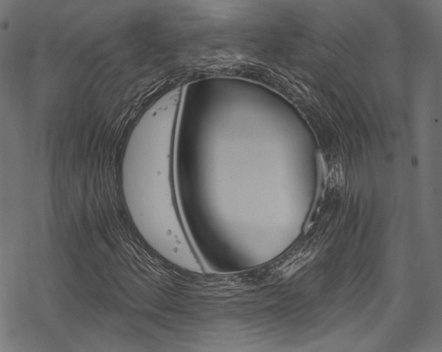 X0000078261156200611030912