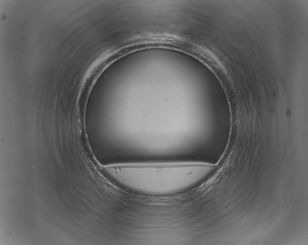 X0000078261172200611030912