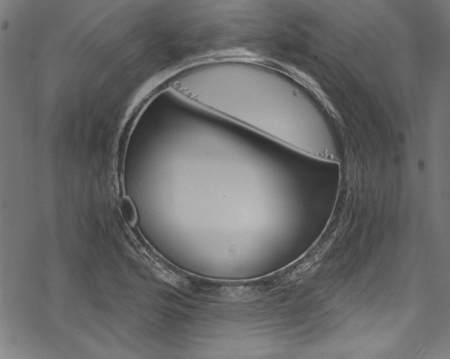 X0000078261176200611030912