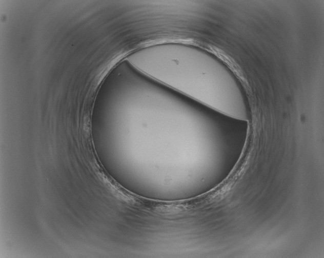 X0000078261185200611030912