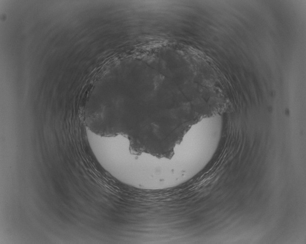 X0000078261203200611030911