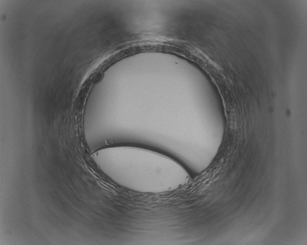 X0000078261208200611030911