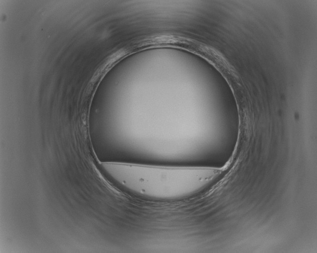 X0000078261225200611030911