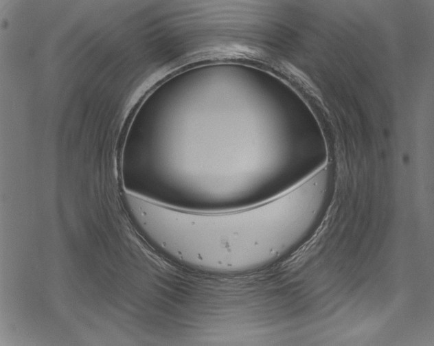 X0000078261226200611030911
