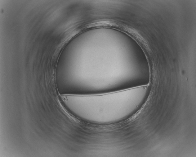 X0000078261233200611030911