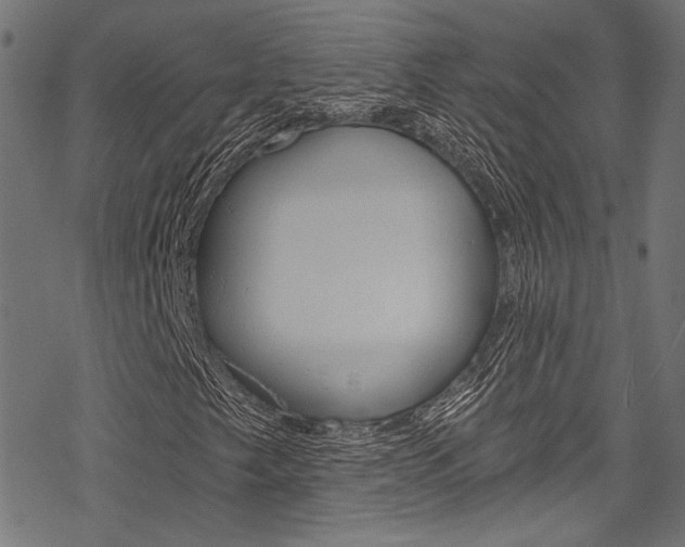 X0000078261249200611030911