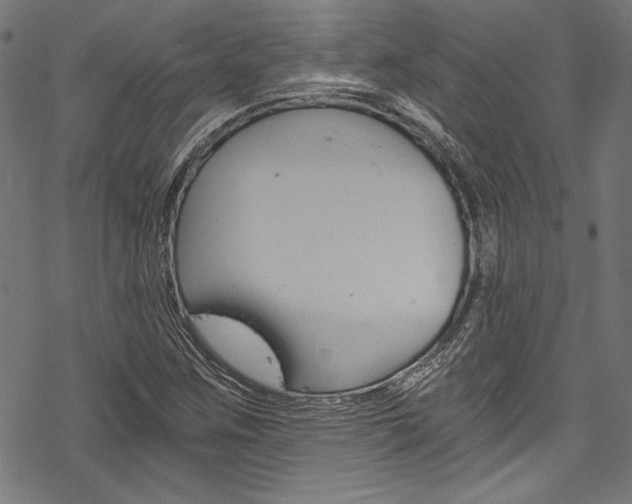 X0000078261259200611030911