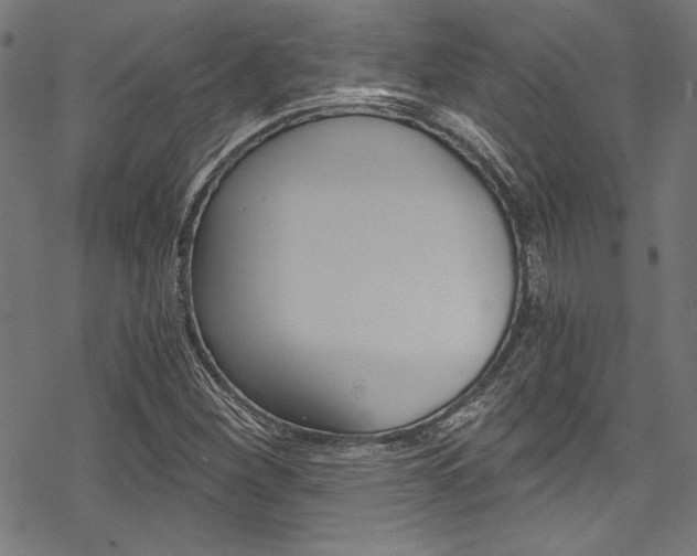 X0000078261260200611030911