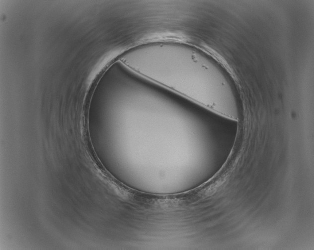 X0000078261277200611030910