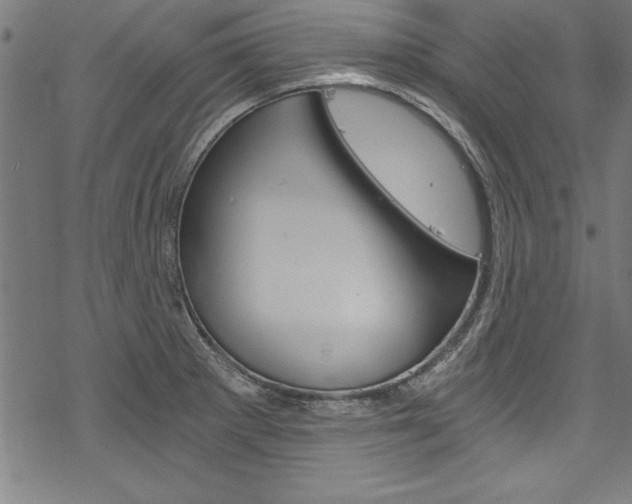 X0000078261281200611030910