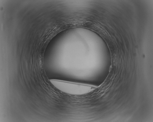X0000078261298200611030909